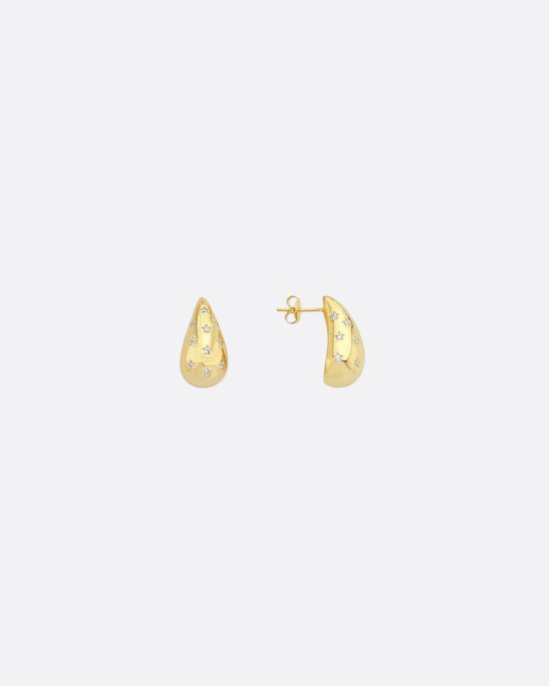 Bottega Earring