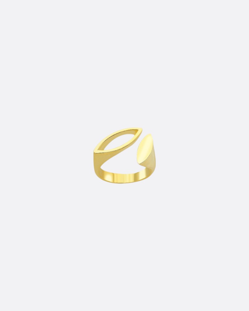 Modern Ring